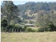 801 Jiggi Road, Jiggi NSW 2480