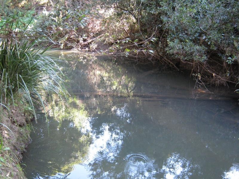 801 Jiggi Road, Jiggi NSW 2480