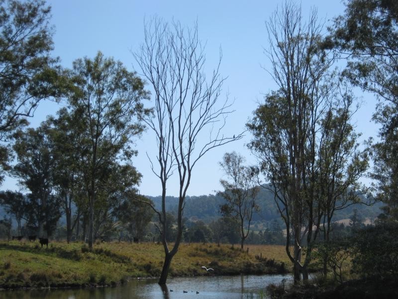 801 Jiggi Road, Jiggi NSW 2480