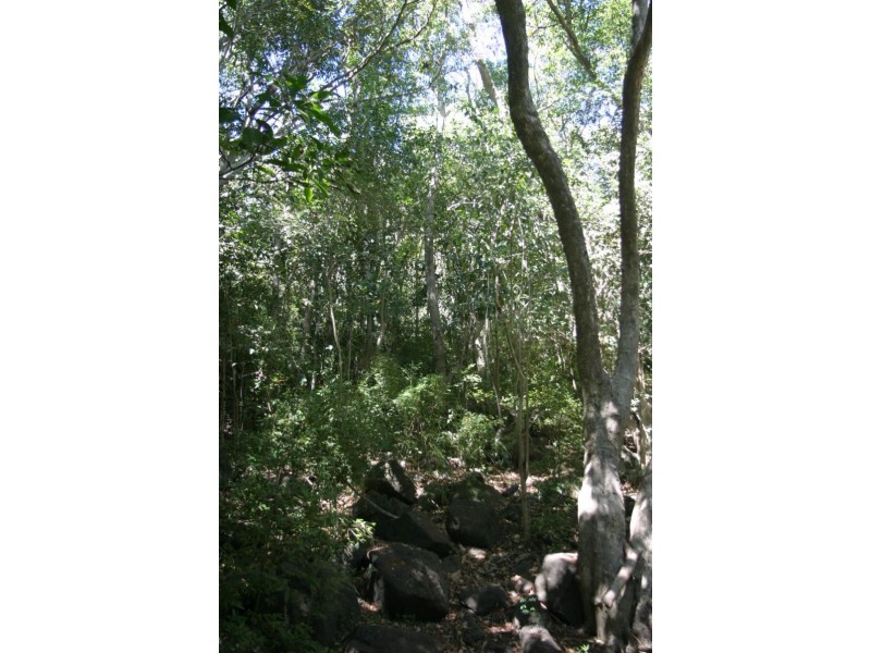 91-91 A Cathcart Street, East Lismore NSW 2480