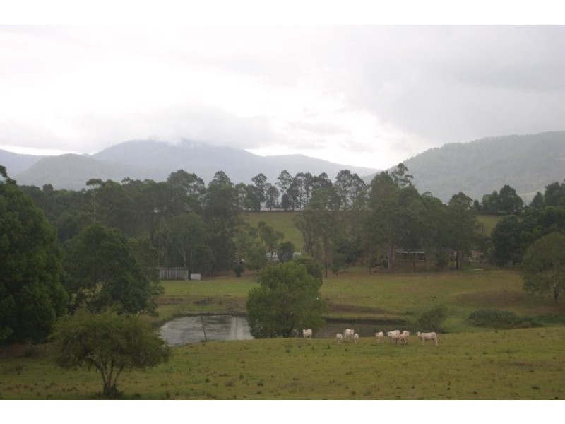 Nimbin NSW 2480