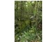 Goolmangar NSW 2480