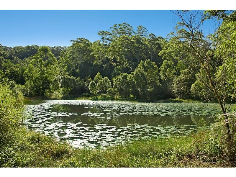 Rosebank NSW 2480