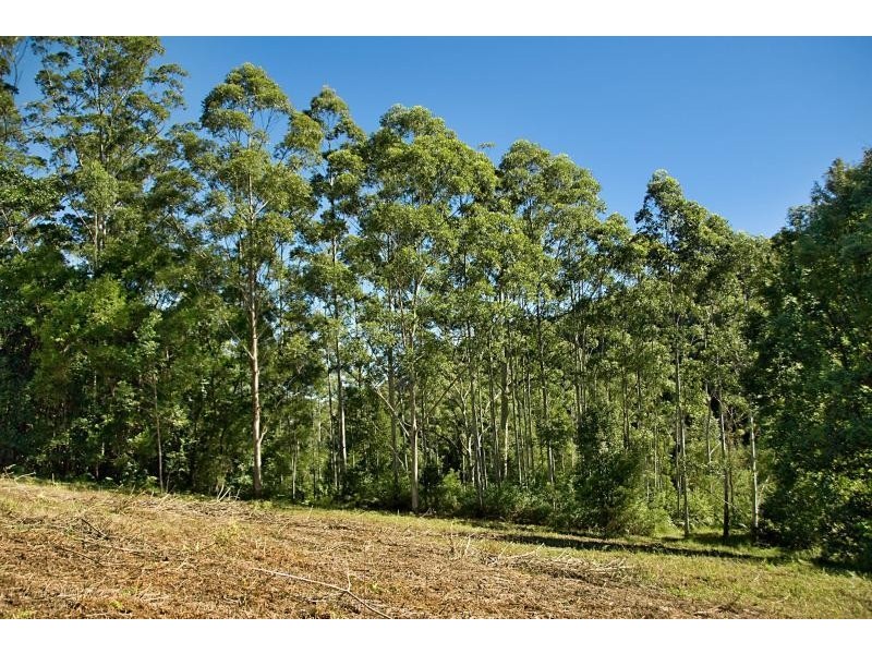 Rosebank NSW 2480