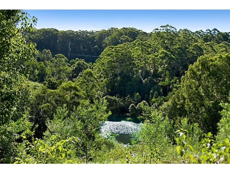 Rosebank NSW 2480