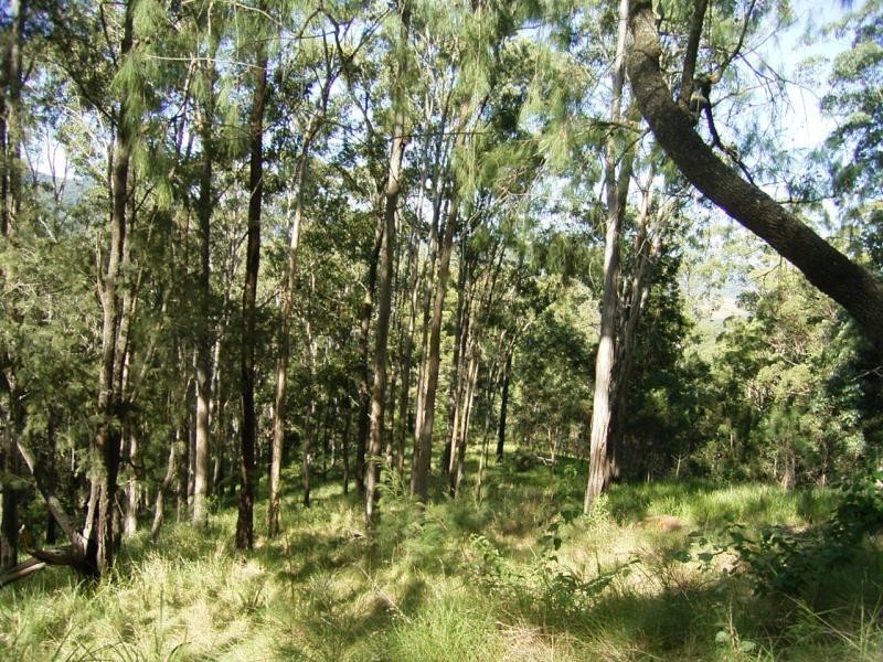 2549 WAUKIVORY ROAD, Gloucester NSW 2422