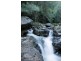 Cobark NSW 2422