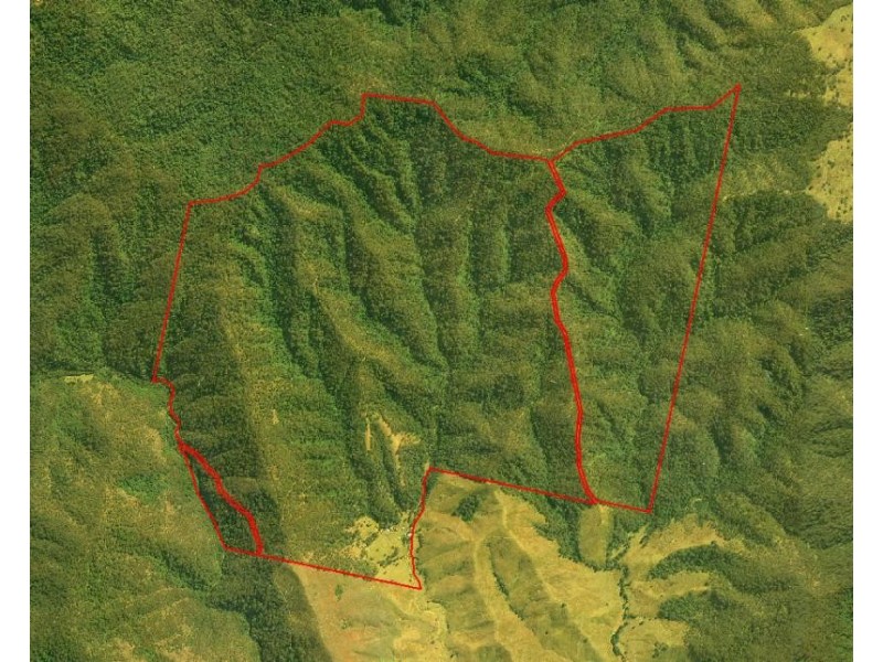 Cobark NSW 2422