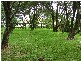 39 GREGSON STREET, Gloucester NSW 2422