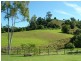 278 SAWPIT LANE, Wallanbah NSW 2422