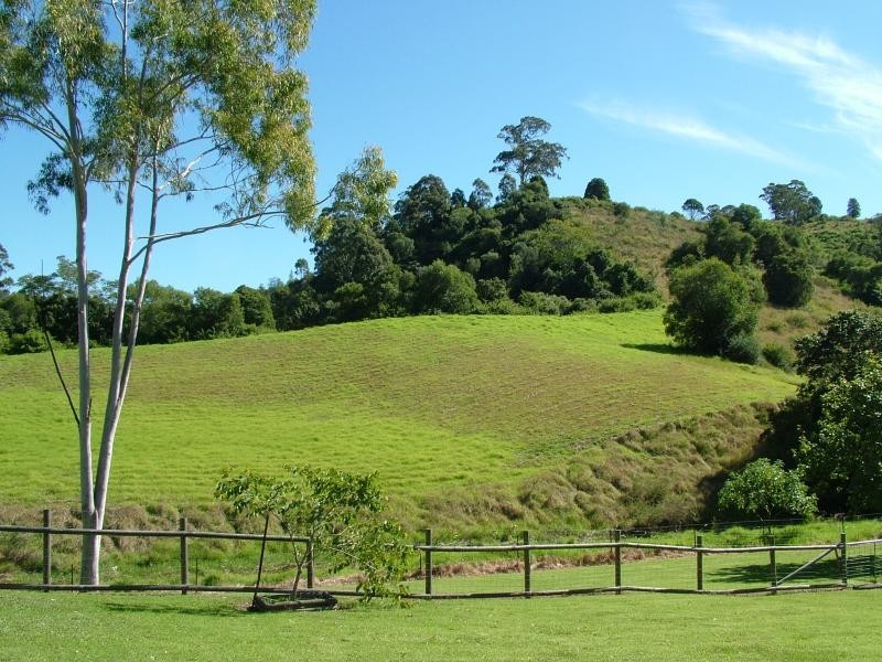 278 SAWPIT LANE, Wallanbah NSW 2422