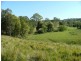 1037 WALLANBAH ROAD, Wallanbah NSW 2422