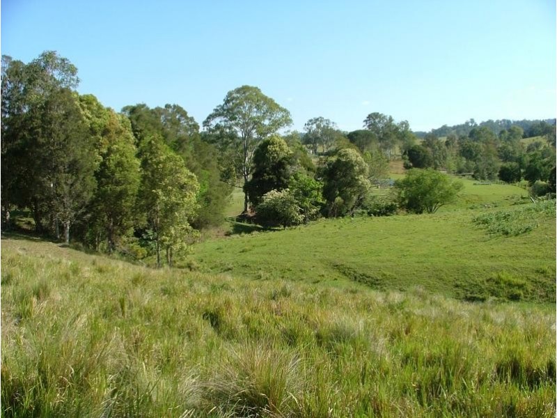 1037 WALLANBAH ROAD, Wallanbah NSW 2422