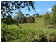 1037 WALLANBAH ROAD, Wallanbah NSW 2422