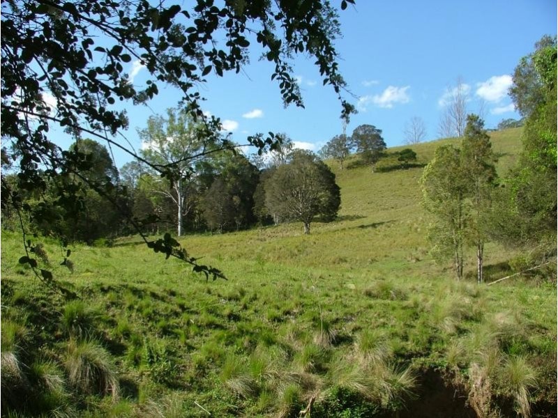 1037 WALLANBAH ROAD, Wallanbah NSW 2422