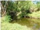 1037 WALLANBAH ROAD, Wallanbah NSW 2422