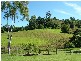 278 SAWPIT LANE, Wallanbah NSW 2422