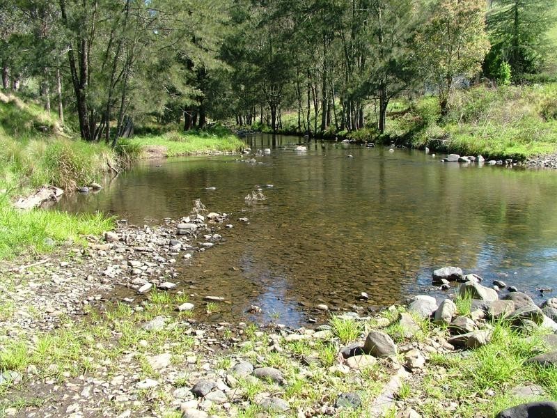 160 MOPPY CREEK ROAD, Gloucester NSW 2422