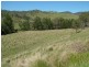 160 MOPPY CREEK ROAD, Gloucester NSW 2422