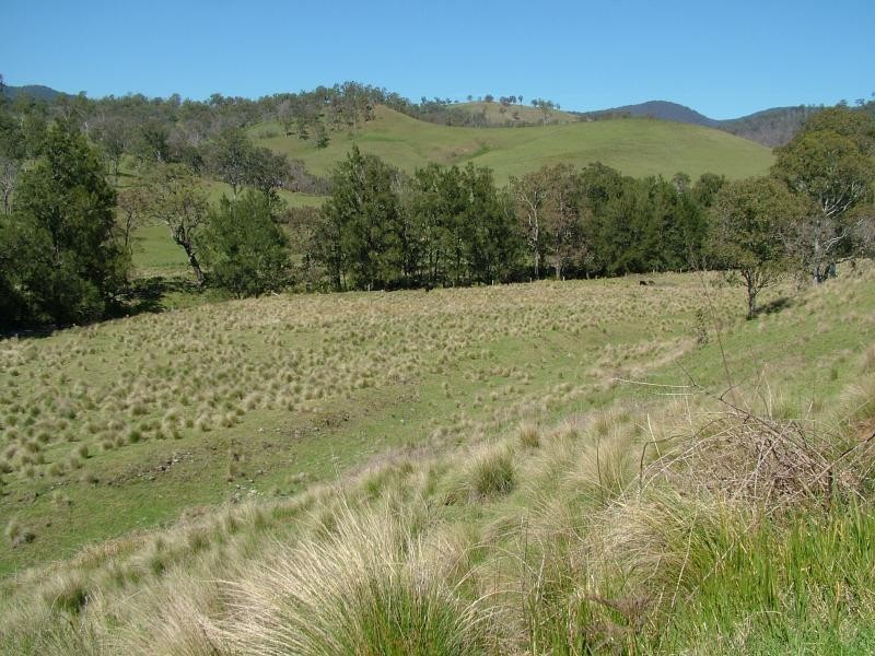 160 MOPPY CREEK ROAD, Gloucester NSW 2422