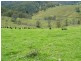 160 MOPPY CREEK ROAD, Gloucester NSW 2422