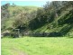 160 MOPPY CREEK ROAD, Gloucester NSW 2422