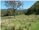 160 MOPPY CREEK ROAD, Gloucester NSW 2422