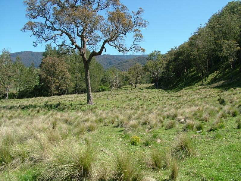 160 MOPPY CREEK ROAD, Gloucester NSW 2422
