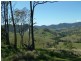 160 MOPPY CREEK ROAD, Gloucester NSW 2422