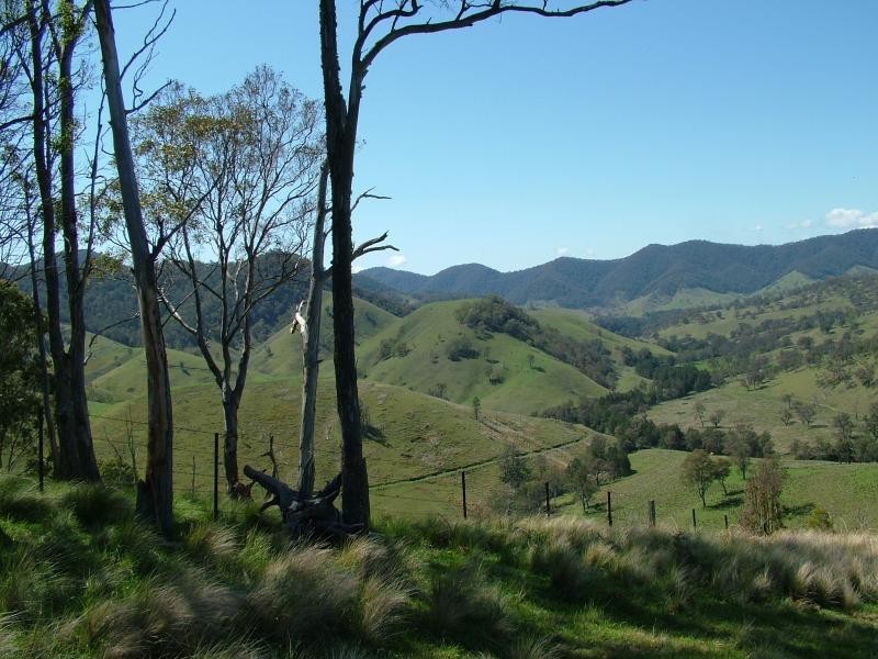 160 MOPPY CREEK ROAD, Gloucester NSW 2422