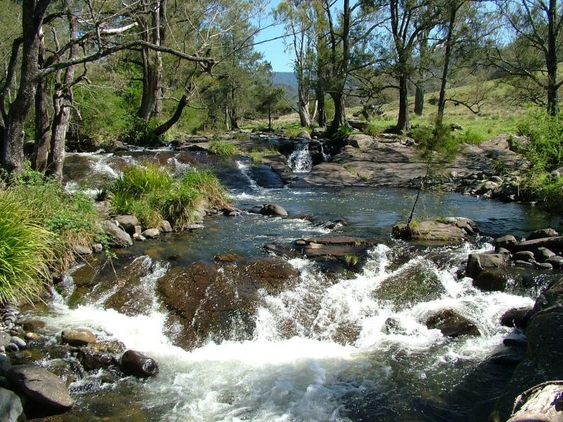 160 MOPPY CREEK ROAD, Gloucester NSW 2422