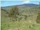 160 MOPPY CREEK ROAD, Gloucester NSW 2422