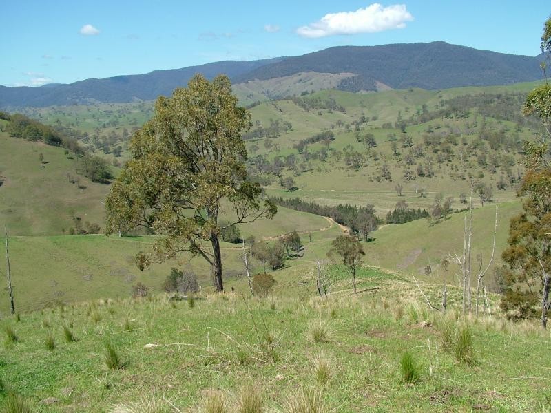 160 MOPPY CREEK ROAD, Gloucester NSW 2422