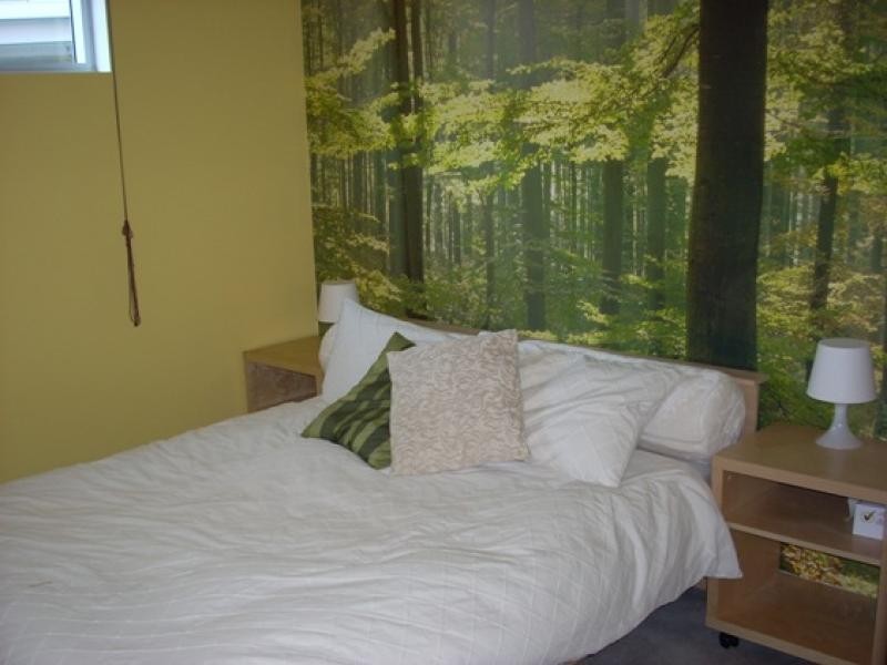 Unit 4 TAMBUA STREET, Pyrmont NSW 2009