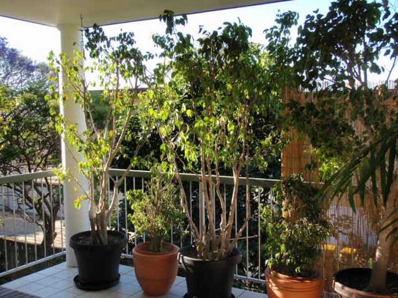 Unit/9/10 McMaster Street, Nundah QLD 4012