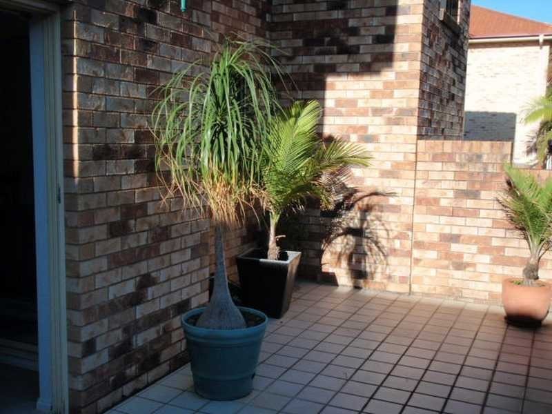 Unit/9/10 McMaster Street, Nundah QLD 4012