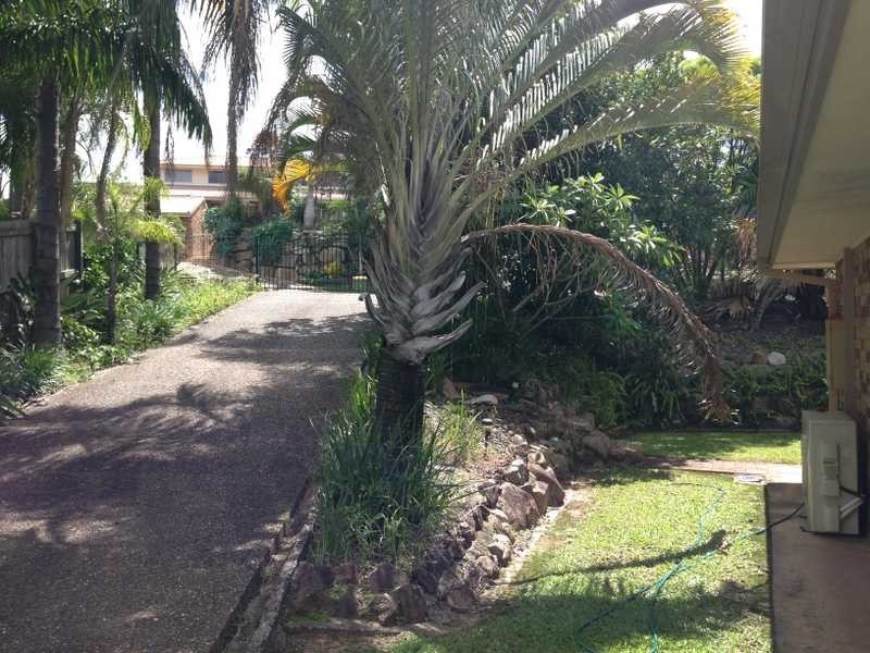 15 Daniel Drive, Albany Creek QLD 4035