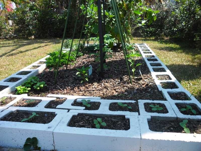 157 Bambrook Street, Taigum QLD 4018