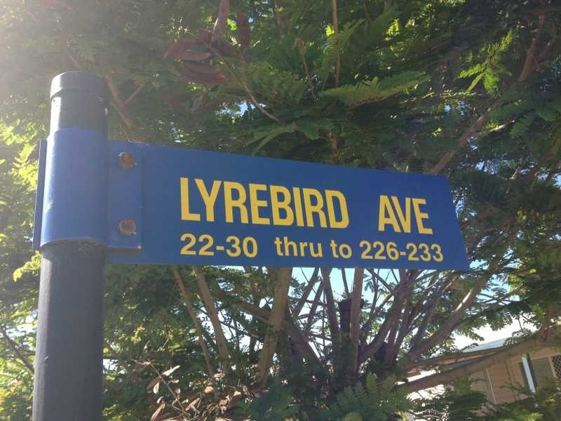 23 Lyrebird Avenue Golden Downs 462 Beams, Fitzgibbon QLD 4018