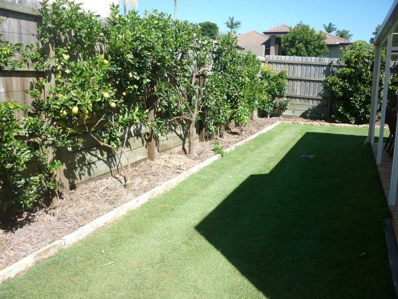 1 Hedge Court, Aspley QLD 4034