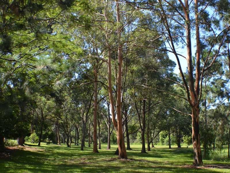 3 Sollis Street, Geebung QLD 4034