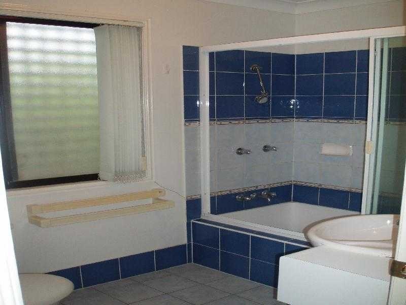 62 Stevens Street, Yeronga QLD 4104