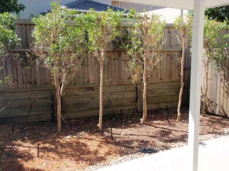 53/113 CastleHill Dr, Murrumba Downs QLD 4503