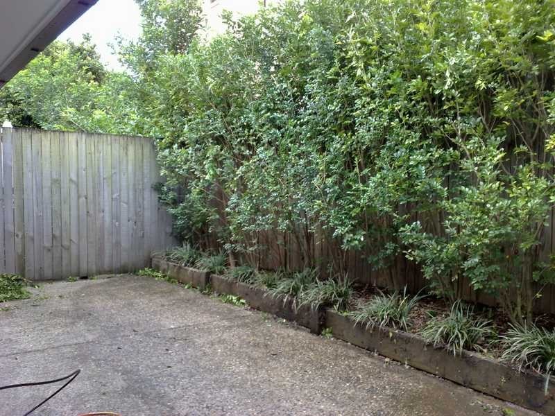 Unit 2/65 Erneton Street, Newmarket QLD 4051