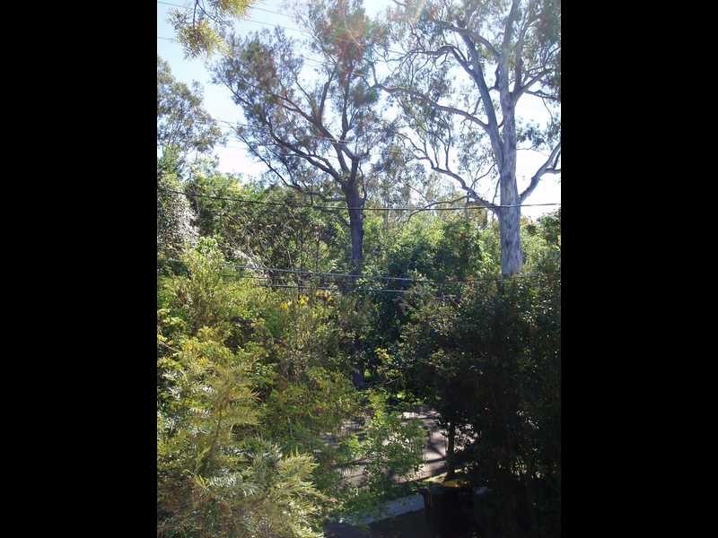30 Acacia Drive, Ashgrove QLD 4060