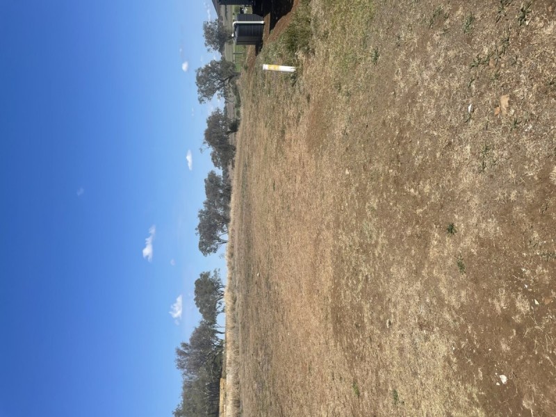 17 leyden Drive, Oakey QLD 4401