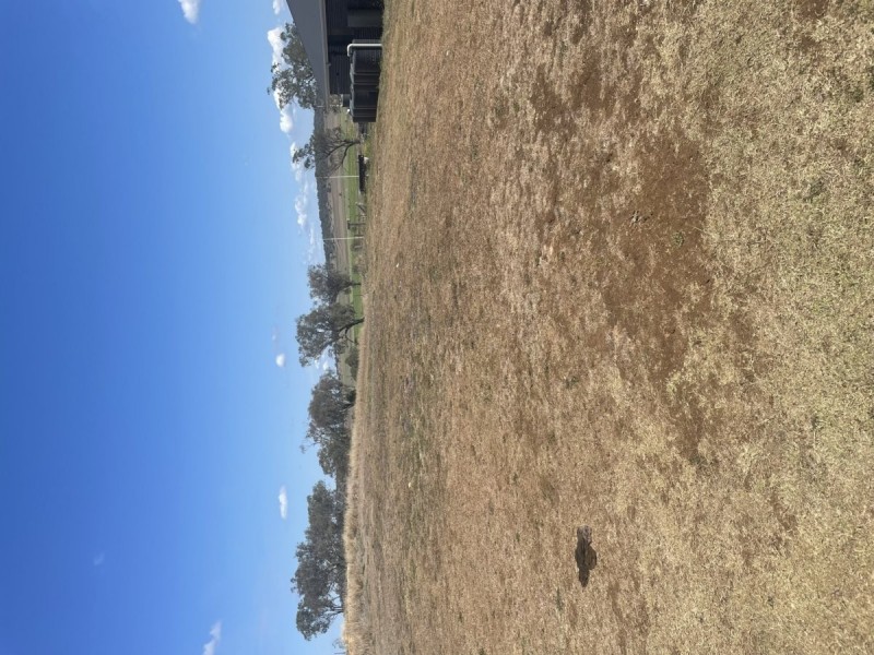 17 leyden Drive, Oakey QLD 4401