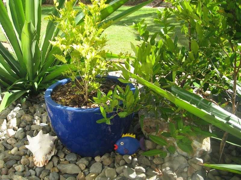 Unit GB/52 Goodwin Terrace, Burleigh Heads QLD 4220