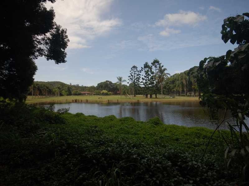 Lot 3 & Lot 116 Tyalla Court, Tallebudgera QLD 4228