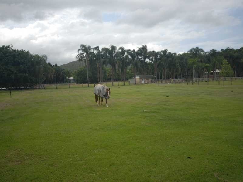 Lot 3 & Lot 116 Tyalla Court, Tallebudgera QLD 4228